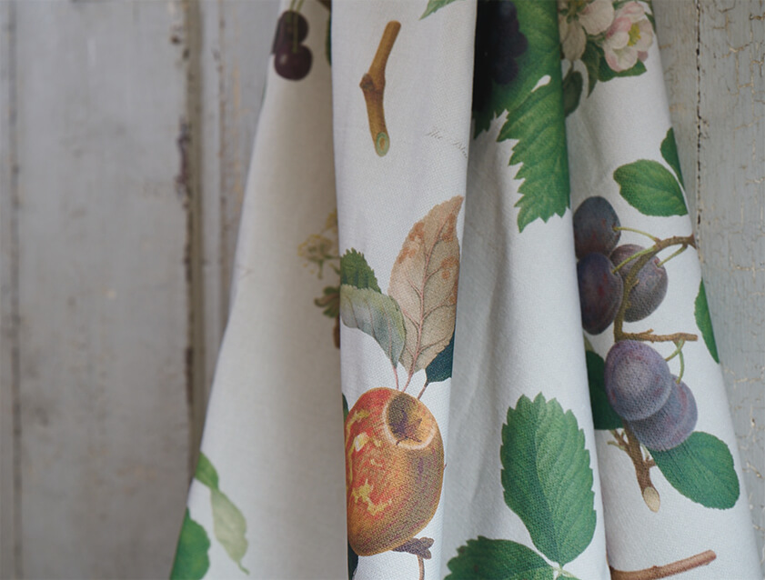 Stain Resistant RHS William Hooker Design Fruit